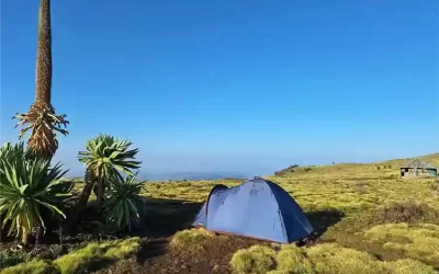 3 Days Simien Mountains Trek: Scenic Ethiopia Highland Hiking Tour