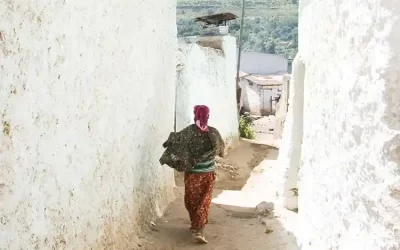 Harar City, Hyena Feeding & Awash NP Safari – 5 Day Trip